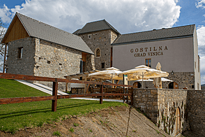 Туристический объект Замок « GRAD VINICA»
