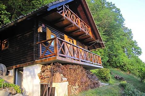 Симпатичный дачный домик с большим участком и лесом: 1