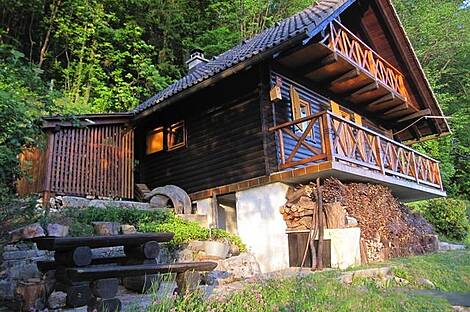 Симпатичный дачный домик с большим участком и лесом: 2