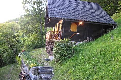 Симпатичный дачный домик с большим участком и лесом: 4