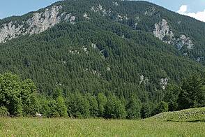 Участок земли в Козарье, Трново