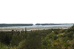 Сеча, Порторож, дом