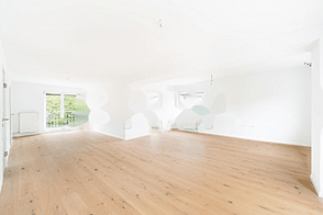 Квартира с четырьмя комнатами Шишка