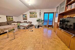 Трехкомнатная квартира в Любляне.