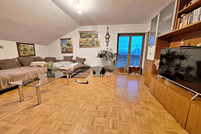 Трехкомнатная квартира в Любляне.