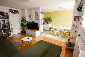 Квартира Шишка с тремя комнатами