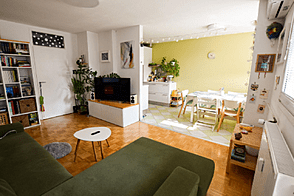 Квартира Шишка с тремя комнатами