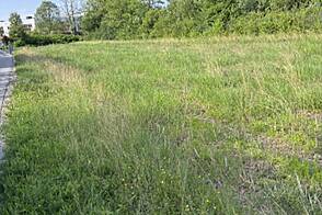 Земельный участок, на котором осуществляется застройка ЛЮБ. ВИЧ.