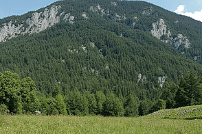 Квартира в Сежане с тремя комнатами