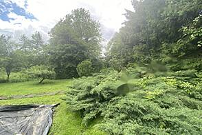 Жильё, Трново