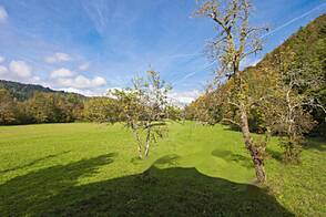 Желимлевская усадьба, расположенная в Кметийаново