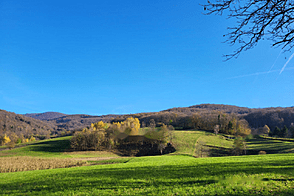 Дом в селе Конец рядом с Горянцами