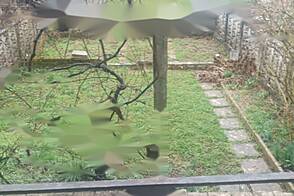 Дом Вижмарье с террасой