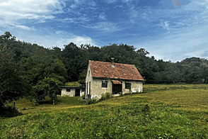 Поместье, хозяйство наверху земли