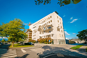 Шишка - коммерческое пространство.