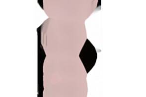 Рабочее помещение в центральной части Любляны.