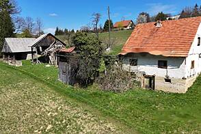 Жилище, Яворник