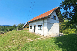 Дом Грушковец