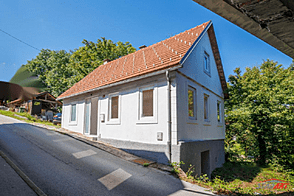 Тушевский дом Дол