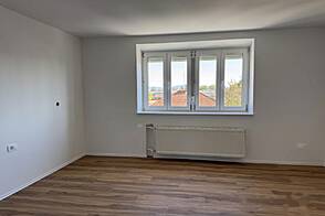 Однокомнатная квартира Шишка