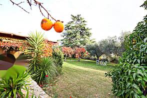 Жилище в Портороже