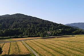 Бржезовица имение в Горицице