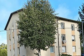 Квартира, однокомнатная Новые Ярше