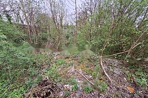 Земельный участок находится в деловой зоне застройки Савлье.