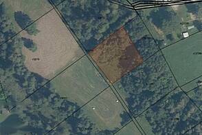 Сельскохозяйственный земельный участок Лесе.