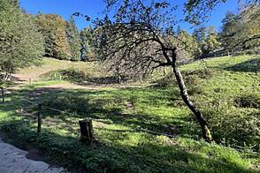 Земельный участок, сельскохозяйственная земля Чешница у Кропи