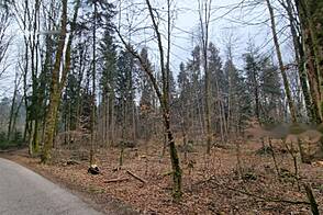 Земельный участок для вложений Гориц, на окраине деревни