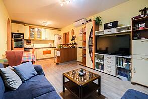 3-комнатная квартира в Новой Любляне.