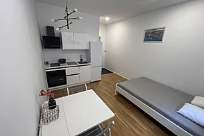 Апартаменты в центре Любляны