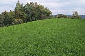 Дом и хозяйство Воловле