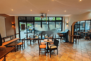 Дом для бизнеса, Шишка