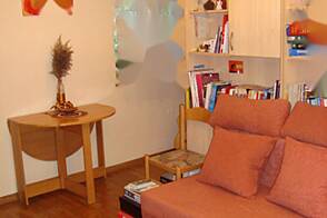 Студия-квартира Шишка