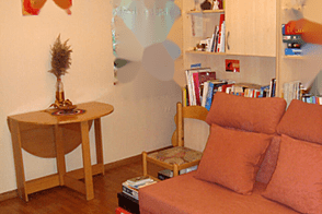 Студия-квартира Шишка