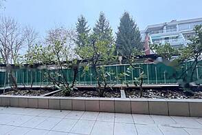 Квартира в Тертасасти Блоки