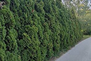 Дом в Бизелско