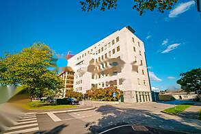 Торговый объект Шишка