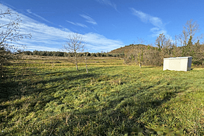 Дом Драгонья Ферма