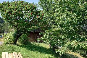 Дом, усадьба Равне, полицмейстер