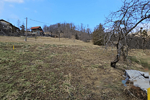 Дом, хозяйство Римские Топлице.