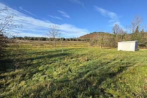 Дом Кметияново Драгонья