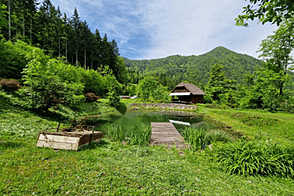 Дом, хозяйство Подкрай возле Межицы, Межица