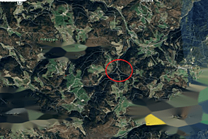 Дом, Сетник