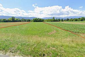 Участок земли Новое Лесце