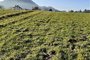 Инвестиционный земельный участок в Верхней Гамельне