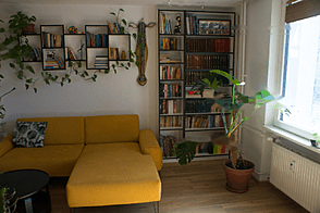 Жилье на улице 2.5 Шишка Алейя