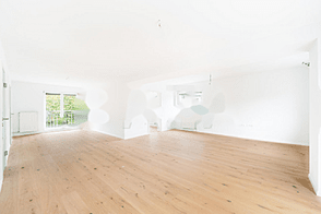 Четырёхкомнатная квартира, Новая Шишка